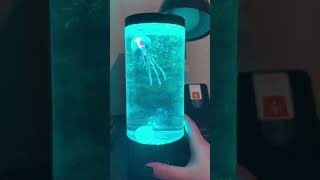 Jellyfish lamp unboxing and set up 🪼 [upl. by Charla]