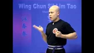 Wing Chun kung fu siu lim tao  form applications Lessons 310 [upl. by Loriner]