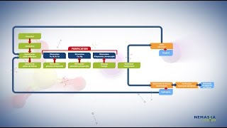 NEMASKA LITHIUM  LINNOVATION DU PROCÉDÉ [upl. by Merv]