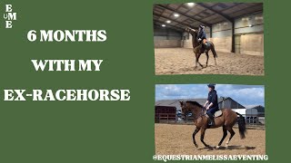 6 MONTHS with my Ex Racehorse  equestrianmelissaeventing [upl. by Julie]