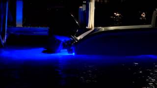 Tips from the Pros  Underwater Lights for Boats [upl. by Moir302]