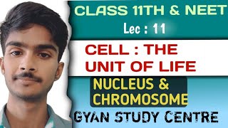 Structure of Nucleus amp Chromosomes BiologyLec 10 For 9th11th and entrance exam By Sarfraz mobin [upl. by Coit]