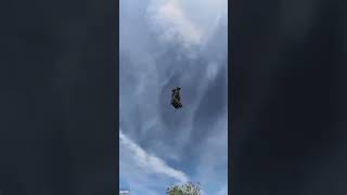 Flyboard Air The Incredible JetPowered Hoverboard by Franky Zapatashortsvideo shortvideo short [upl. by Sharlene]