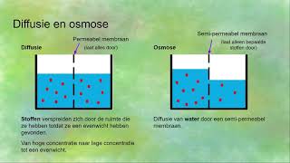 Endocytose exocytose diffusie osmose actief en passief transport  Transport in en uit cellen [upl. by Drofub]