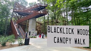 At Blacklick Woods Canopy walk [upl. by Zalea]