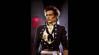 Adam Ant Crackpot History [upl. by Aenitsirhc]