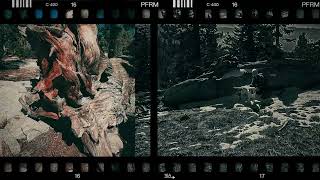 Chickadee Ridge  Bird Attack [upl. by Dinsdale]