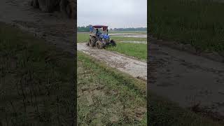 Powertrac euro 55 next  55hp tractor 🥰🥰 [upl. by Nomihs]