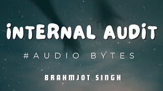 Internal Audit Audio Revision  Brahmjot Singh [upl. by Bowler41]