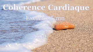 Coherence cardiaque exercices 5 minutes [upl. by Natty]