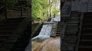 20241013 04 de Loenense waterval [upl. by Nivled]