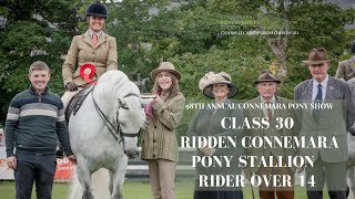 Class Thirty Ridden Connemara Pony Stallion  98th Annual Connemara Pony Show [upl. by Deden]