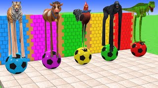 Long Slide Game With Elephant Gorilla Buffalo Hippopotamus Tiger  3d Animal Game  Funny 3d Animals [upl. by Aicnerolf]