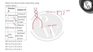 Match the column A with column B by using correct option\n\n\n\n\n\nColumnA\n\n\n\nColumnB\n\ [upl. by Ardnahc]