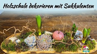 Holzschale dekorieren mit Sukkulenten  Frühlingsdeko selber machen [upl. by Flosi]