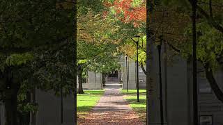 October Oberlin College Oberlin Ohio 2024 [upl. by Ermin]