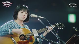 Kaneko Ayano  Emerald Acoustic  カネコアヤノ  エメラルド  LIVE 2024 [upl. by Park653]