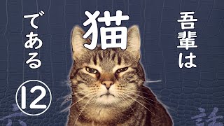 【朗読】吾輩は猫である12／夏目漱石 [upl. by Dryfoos347]