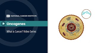 Oncogenes What is Cancer Video Series [upl. by Arrek813]