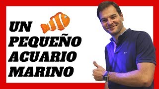 Cómo MONTAR Un Pequeño ACUARIO MARINO con un filtro Hydra® La Tecnología Sigue Avanzando🐠 [upl. by Ralyt267]