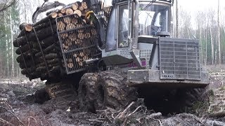 Logging with Logset 6F wet conditions skilled operator [upl. by Dahlia]