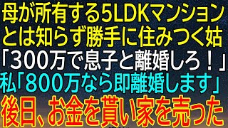 母のマンションを知らずに住みついた姑が放った衝撃的な提案！私の返答が全ての運命を変える！ [upl. by Nennarb817]