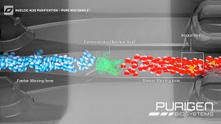 Ionic® Purification System – Simple Chargebased DNA and RNA Extraction [upl. by Eliak750]