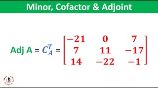 How to Find the Minor Cofactor amp Adjoint of A Matrix [upl. by Hurleigh]