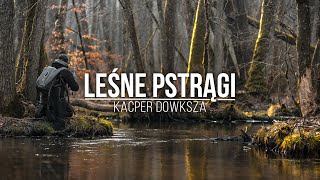 Leśne Pstrągi  jak łowić pstrągi w małej rzece [upl. by Colt]