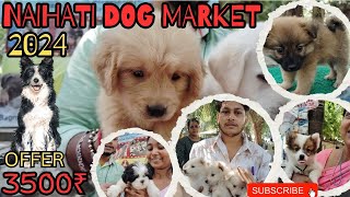 Naihati Dog Market 2024  In Kolkata Dog Market  Offer 3500₹naihatidogmarket doglover petmarket [upl. by Schreibe]