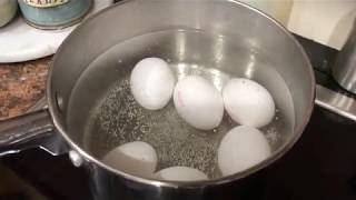 How to Cook Perfect Hard Boiled Eggs [upl. by Hselin289]