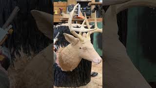 White Tail Buck Carved in Red Oak with Spalted Basswood Antlers [upl. by Asilaj873]