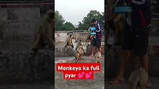 Mantriyon ke liye breakfast  morning ka breakfast  Monkey shorts ytshorts [upl. by Prader]