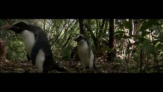 Benedict Cumberbatch says quotpenguinquot in BBC South Pacific Episode 5  Strange Islands full clip [upl. by Jak109]