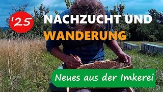 Königinnenvermehrung Wanderung  Neues aus der Imkerei 25 [upl. by Notna]