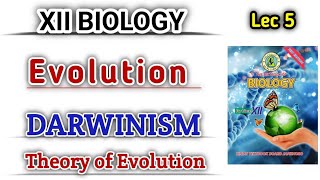 DARWINISM lec 5  Theory of Evolution by natural selection class 12 [upl. by Aube910]