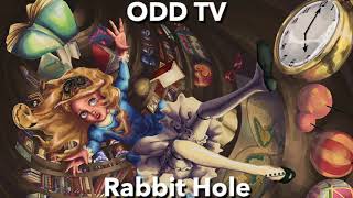 ODD TV  Rabbit Hole  432Hz [upl. by Ylrrad817]