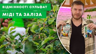 ВІДМІННОСТІ МІДНОГО ТА ЗАЛІЗНОГО КУПОРОСУ  Коли варто застосовувати ці препарати  AgroMarketua [upl. by Vaclava946]