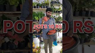 pots starting from 10 RS youtubeshorts reels ytshorts trending [upl. by Aseretairam]