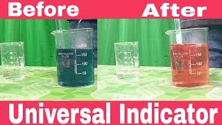 Universal Indicator The best way to test pH of a SolutionExperiment by Anand Mohan [upl. by Northrop491]