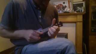 Nano ukulele worlds smallest playable ukuleleprobably [upl. by Lanuk]