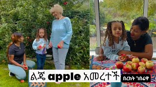 ልጄ በIreland የከተማ ግብርና ጀመረች በረከትገበሬዋ bekifarmer farmertube [upl. by Jae]