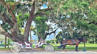 Episode 26 Tour of Jekyll Island Georgia [upl. by Blodget864]