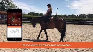 ✨ Mettez votre cheval au bout des rênes en 2 minutes ✨ [upl. by Ahseyn]