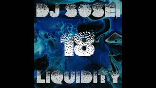 DJ Sosei  Liquidity 18 Liquid Drum amp Bass [upl. by Tomasz338]