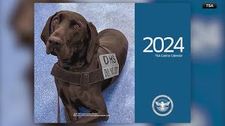 TSA releasing K9 calendar just in time for the holiday season [upl. by Carmelita29]