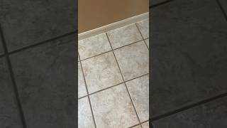 My grout is tan and clean I promise 😂 deepclean groutcleaning cleaning cleantok cleaningvideo [upl. by Lori]