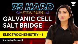 Electrochemistry  Part 1  Galvanic Cell  Salt Bridge  Akansha [upl. by Calla]