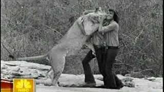 Christian the Lion  John Rendall and Ace Bourke Interview [upl. by Oram]