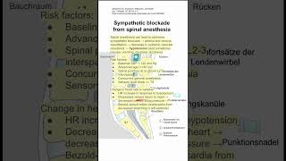 Sympathetic blockade from spinal anesthesia [upl. by Allemac]